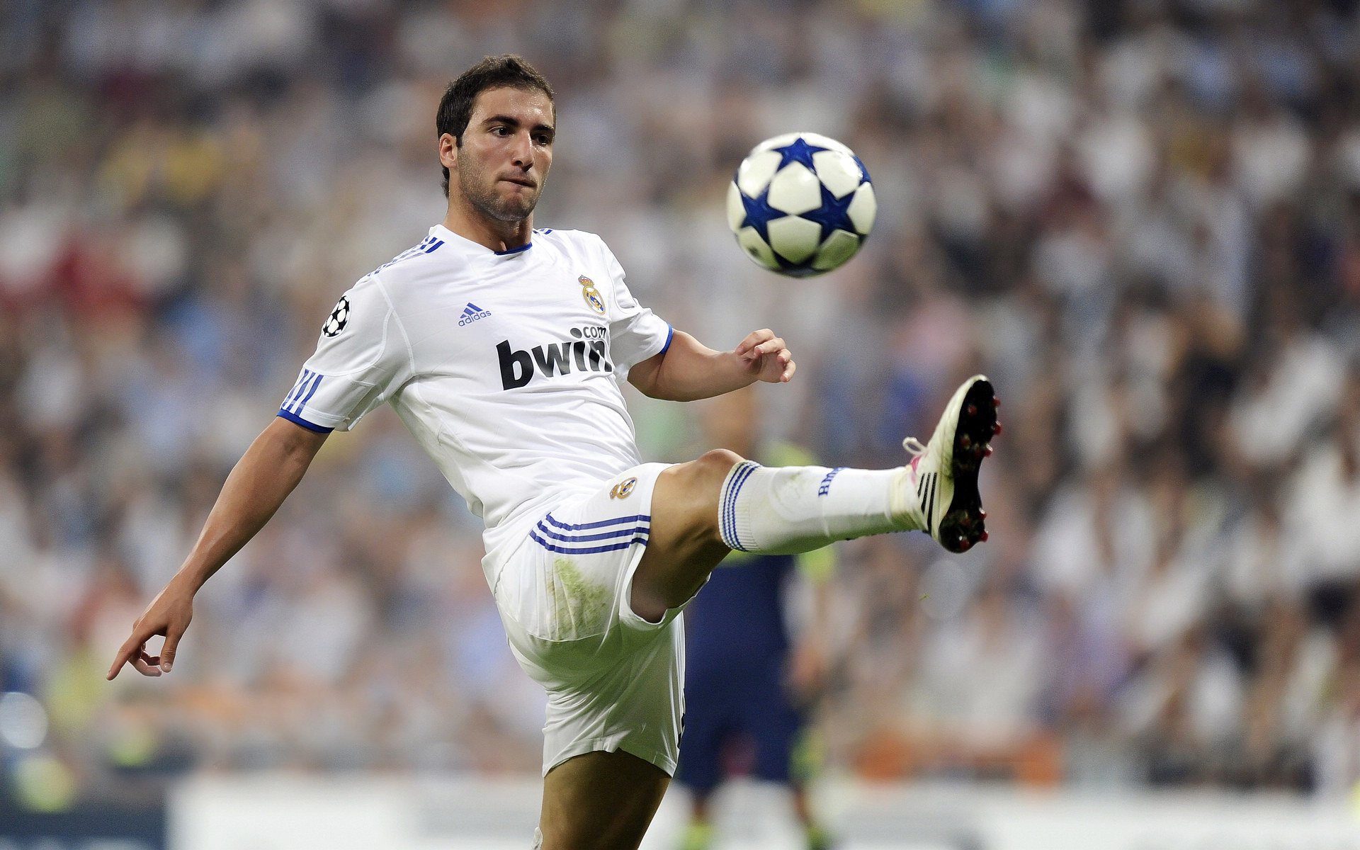 开云体育入口-罗德里惊天爆发，哥斯达黎加4-0狂扫荷兰，世界杯预选赛的冷门风暴